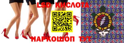 индика Славгород
