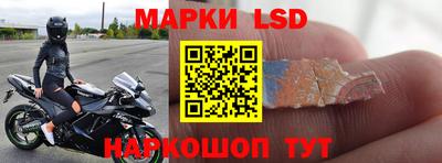 индика Славгород