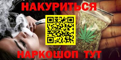 индика Славгород