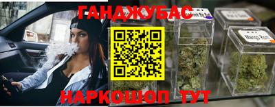 индика Славгород