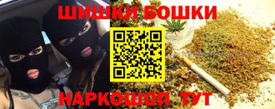 индика Славгород
