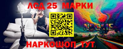 индика Славгород