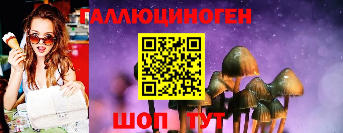 Псилоцибиновые грибы GOLDEN TEACHER  Вход с VPN  Полысаево 
