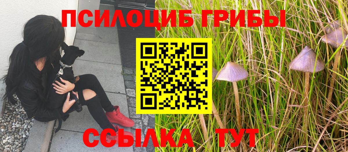 Галлюциногенные грибы мухоморы Полысаево